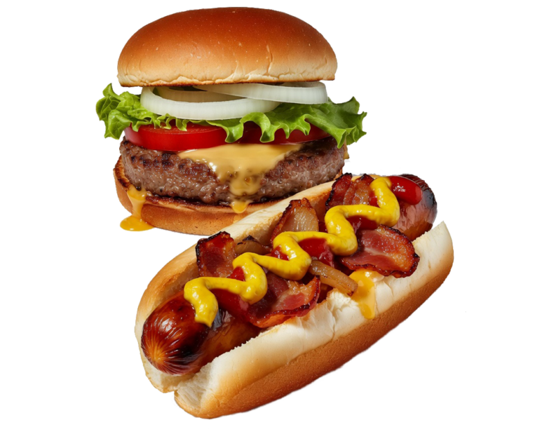 Hamburguesa y perro caliente1